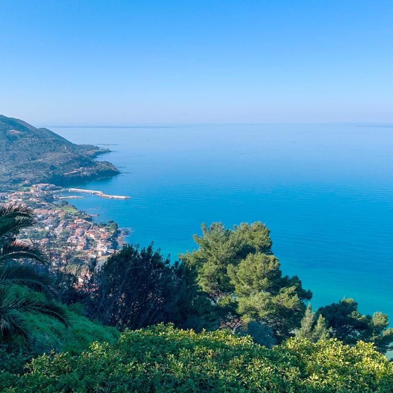 Vista panoramica sul mare con vegetazione e un villaggio costiero.